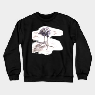 Baby Bird Crewneck Sweatshirt